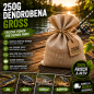 Preview: 250g Dendrobena Groß