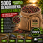 Preview: 500g Dendrobena Größenmix
