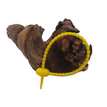 Rutenbänder aus Silikon – 21 cm, 2 Stück, verschiedene Farben