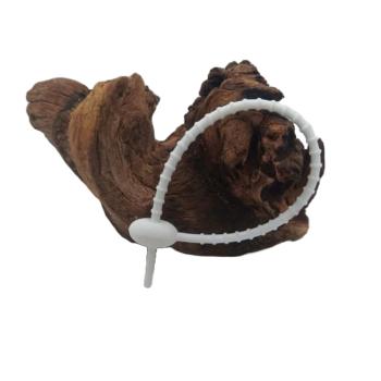 Rutenbänder aus Silikon – 21 cm, 2 Stück, verschiedene Farben