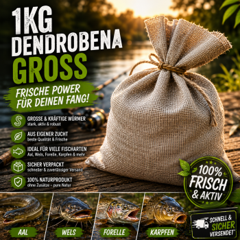 1kg Dendrobena Groß