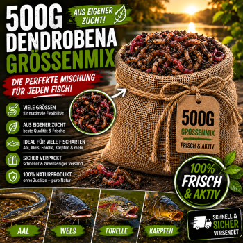 500g Dendrobena Größenmix