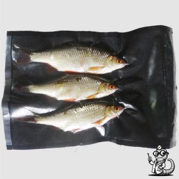Rotaugen & Rotfedern als Köderfische kaufen – Top-Köder für Hecht, Zander & Wels