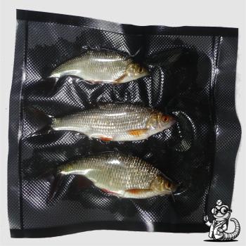 Rotaugen & Rotfedern als Köderfische kaufen – Top-Köder für Hecht, Zander & Wels