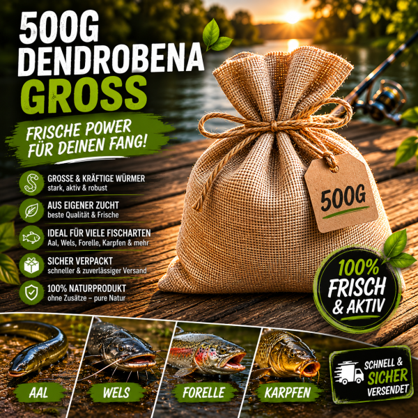 500g große Dendrobena Angelwürmer kaufen