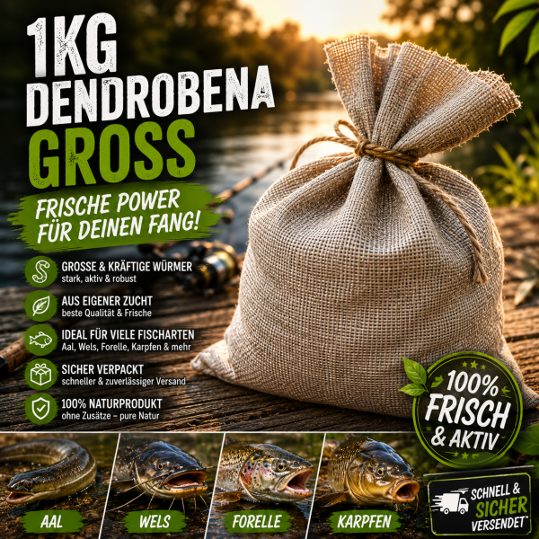 1kg Dendrobena Groß